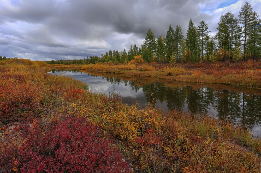 Photograph by Евгения Левина