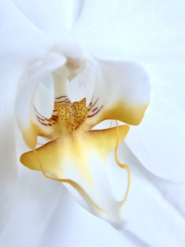 Photograph by Ольга Осинина