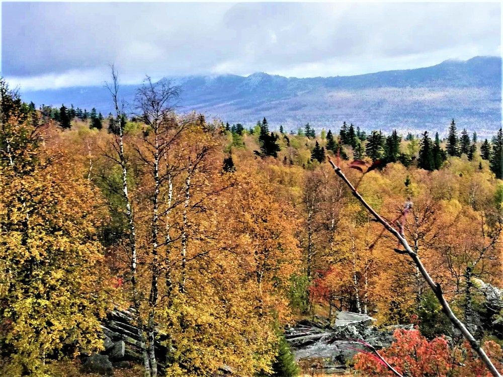 Photograph by Галина