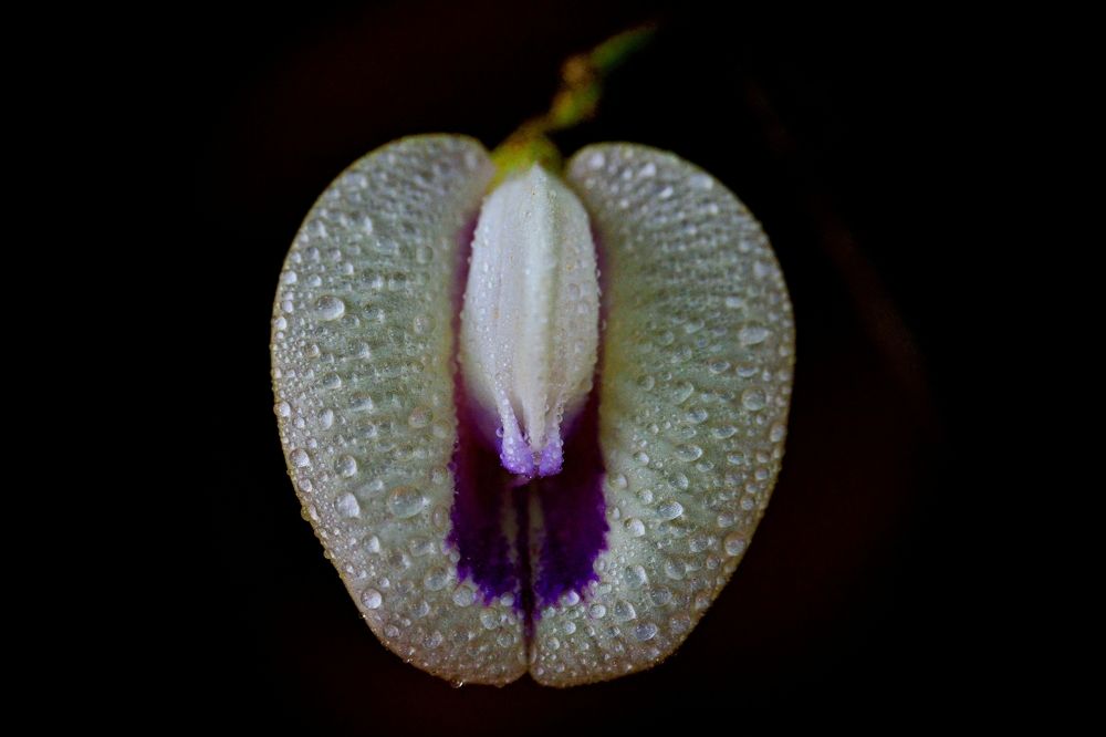 Photograph by FRANCISCO FERREIRA