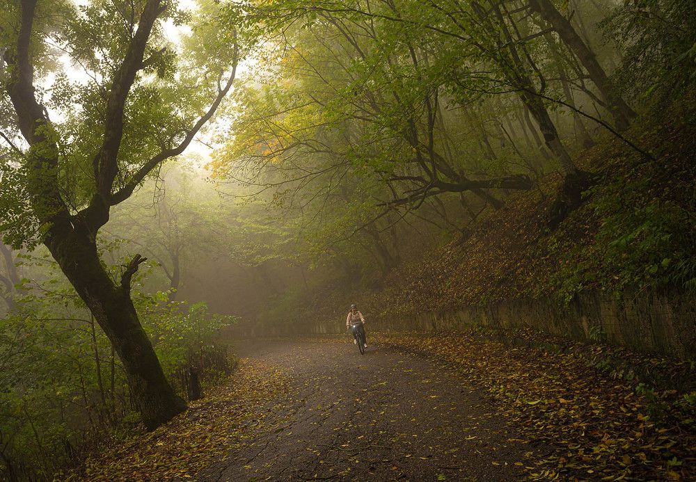 Photograph by Анатолий Макоедов