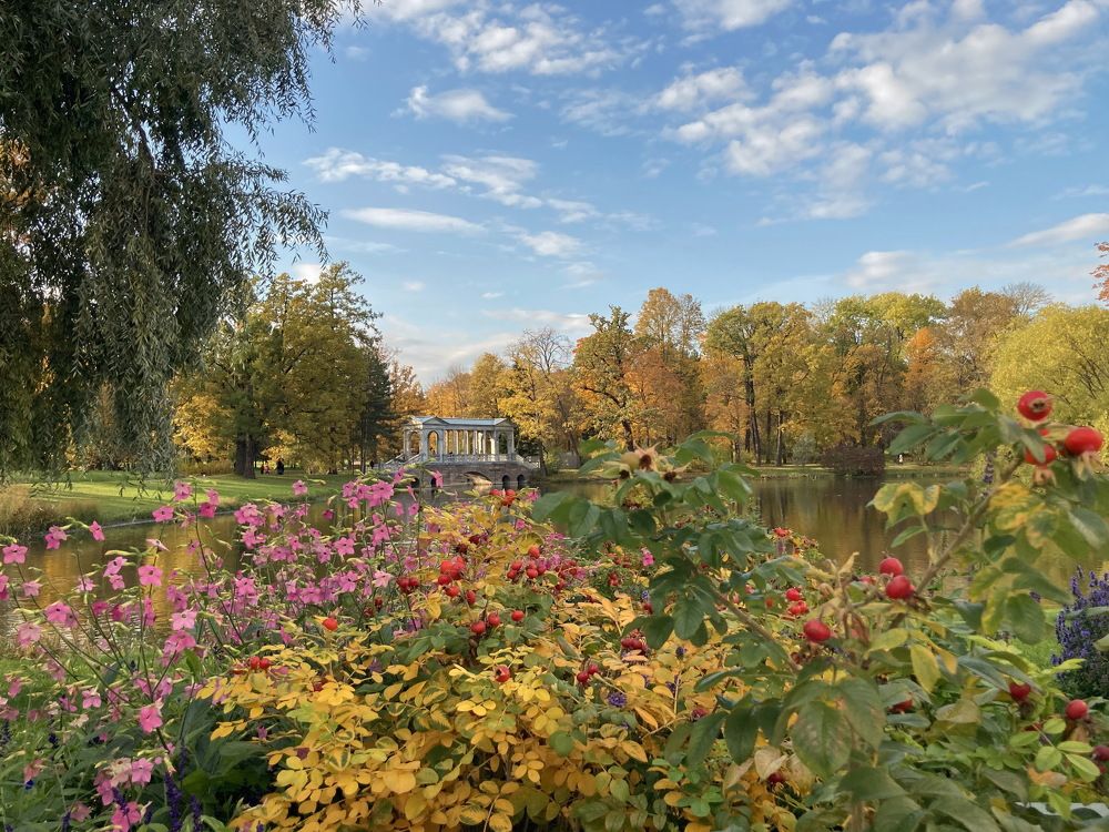 Осень в Царском селе
