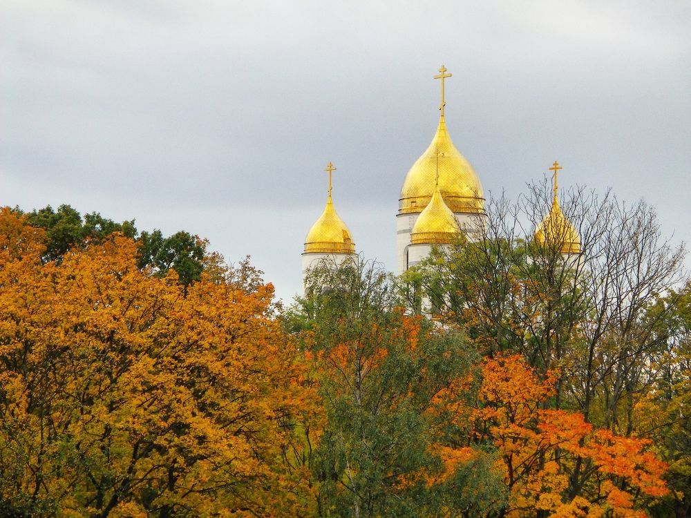 Фотография автора Ксения Смирнова