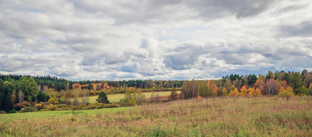 Photograph by Галина Патрушева