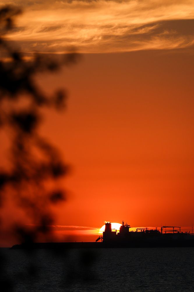 Фотография автора Илья Малеев