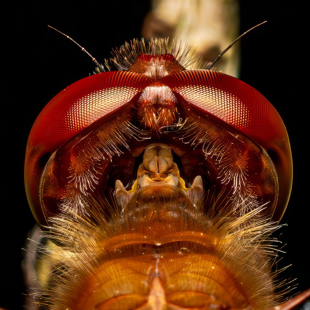 Photograph by Derek Moorse