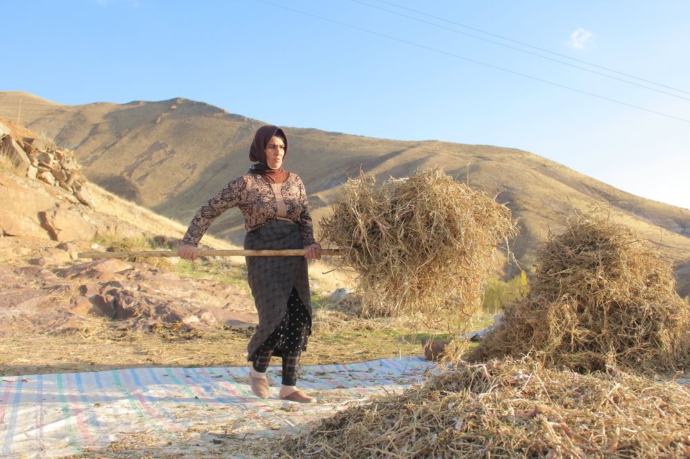 Фотография автора Vahid Basiri