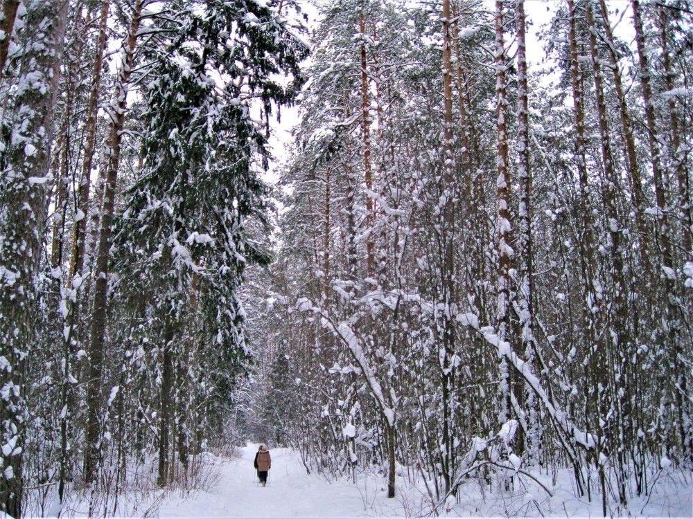 Photograph by Галина