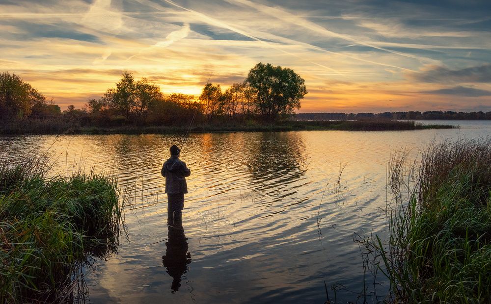 Photograph by Елена Потемина