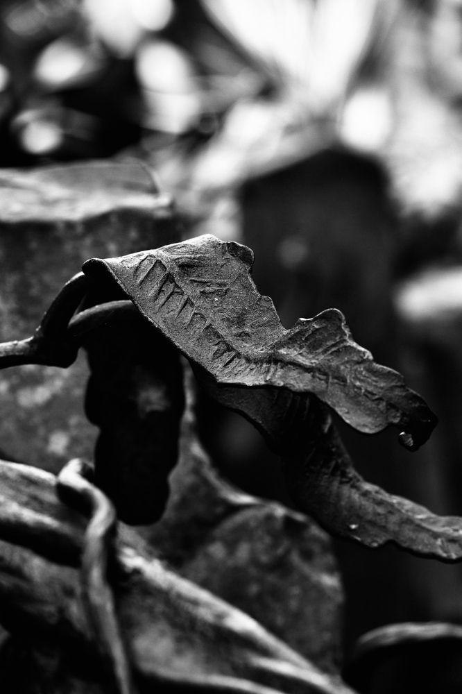 Фотография автора Илья Малеев