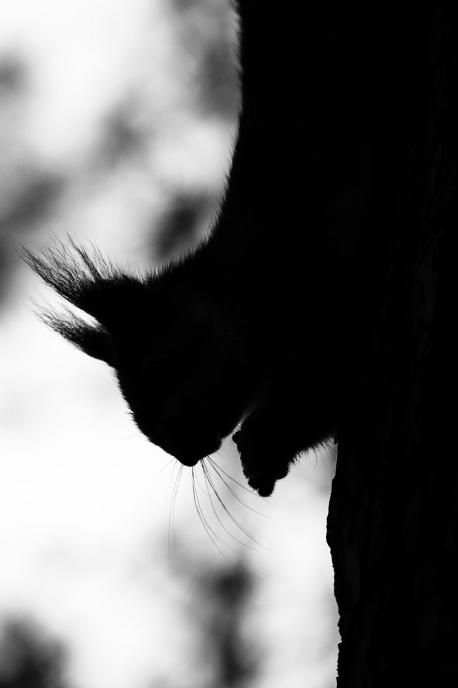 Фотография автора Илья Малеев