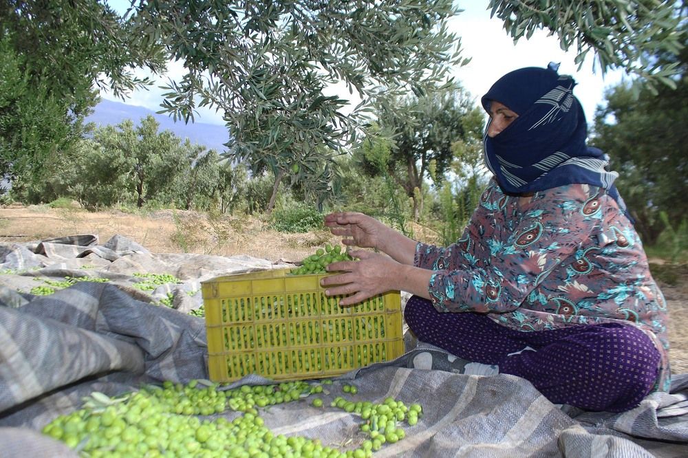 Фотография автора Vahid Basiri