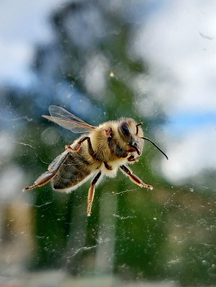 Photograph by Наталья Корнеева