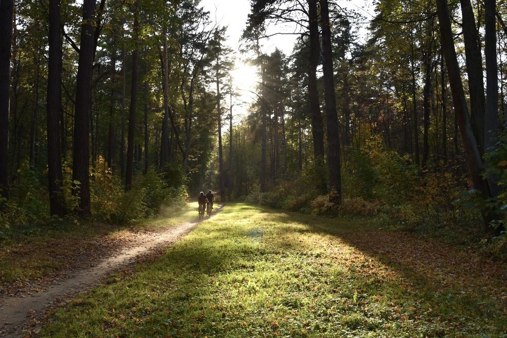 Photograph by Ольга Струкалина