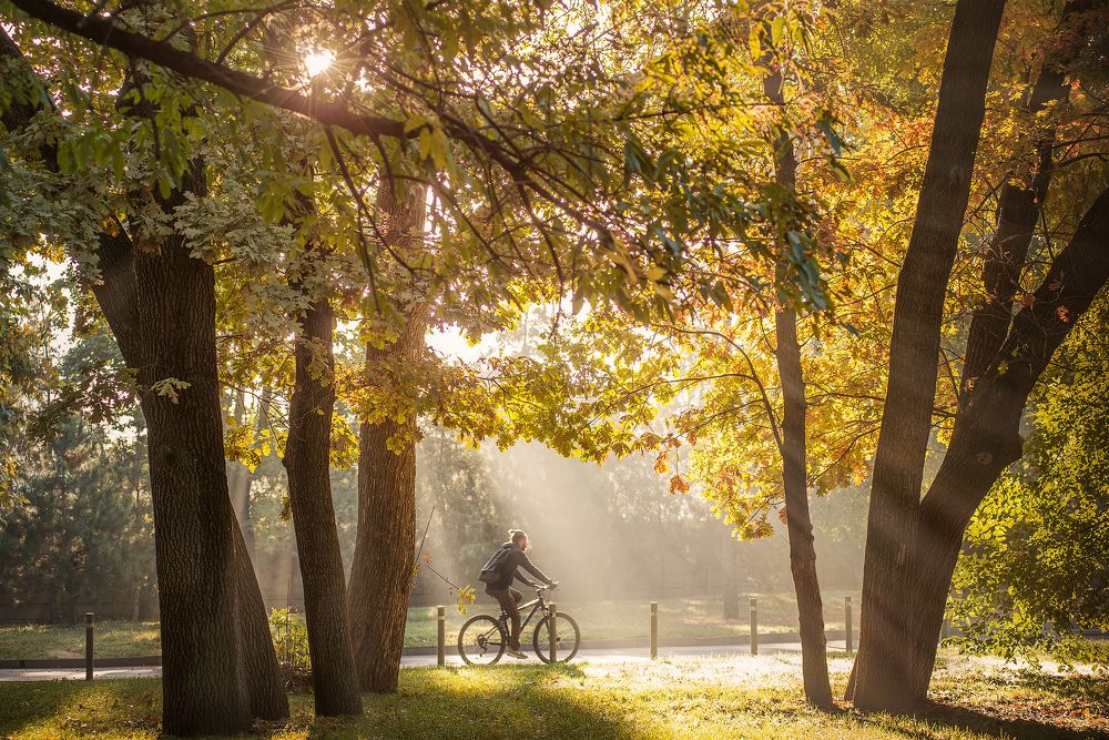 Photograph by Григорьева Юлия