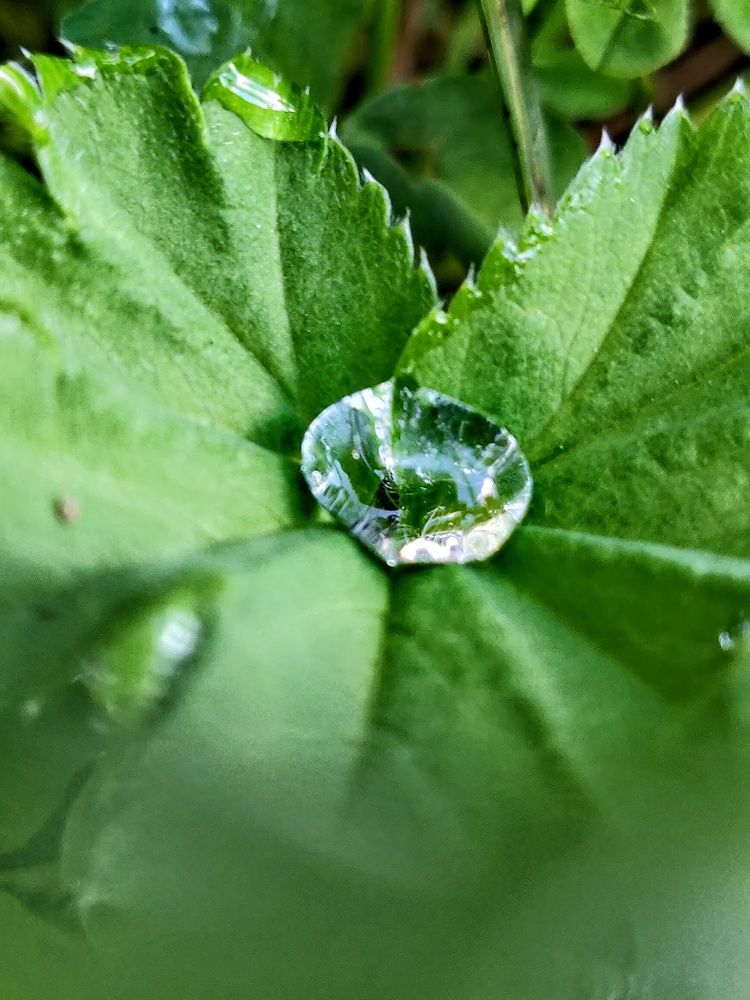 Photograph by Наталья Корнеева