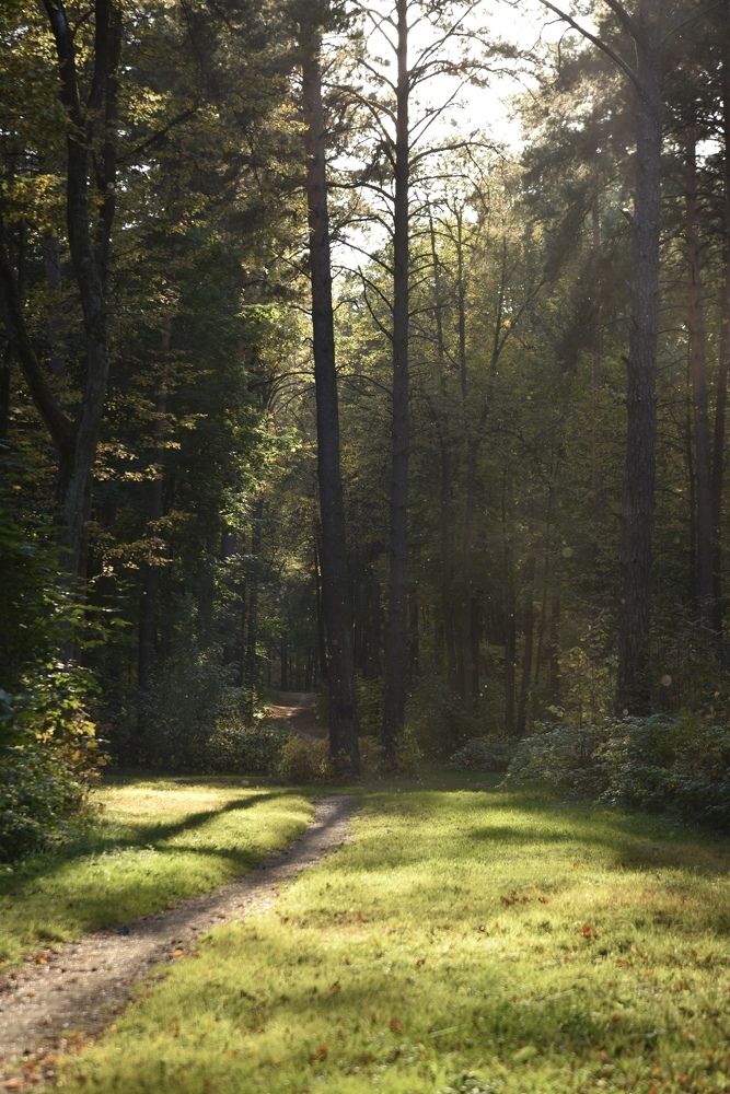 Солнечная дорога.