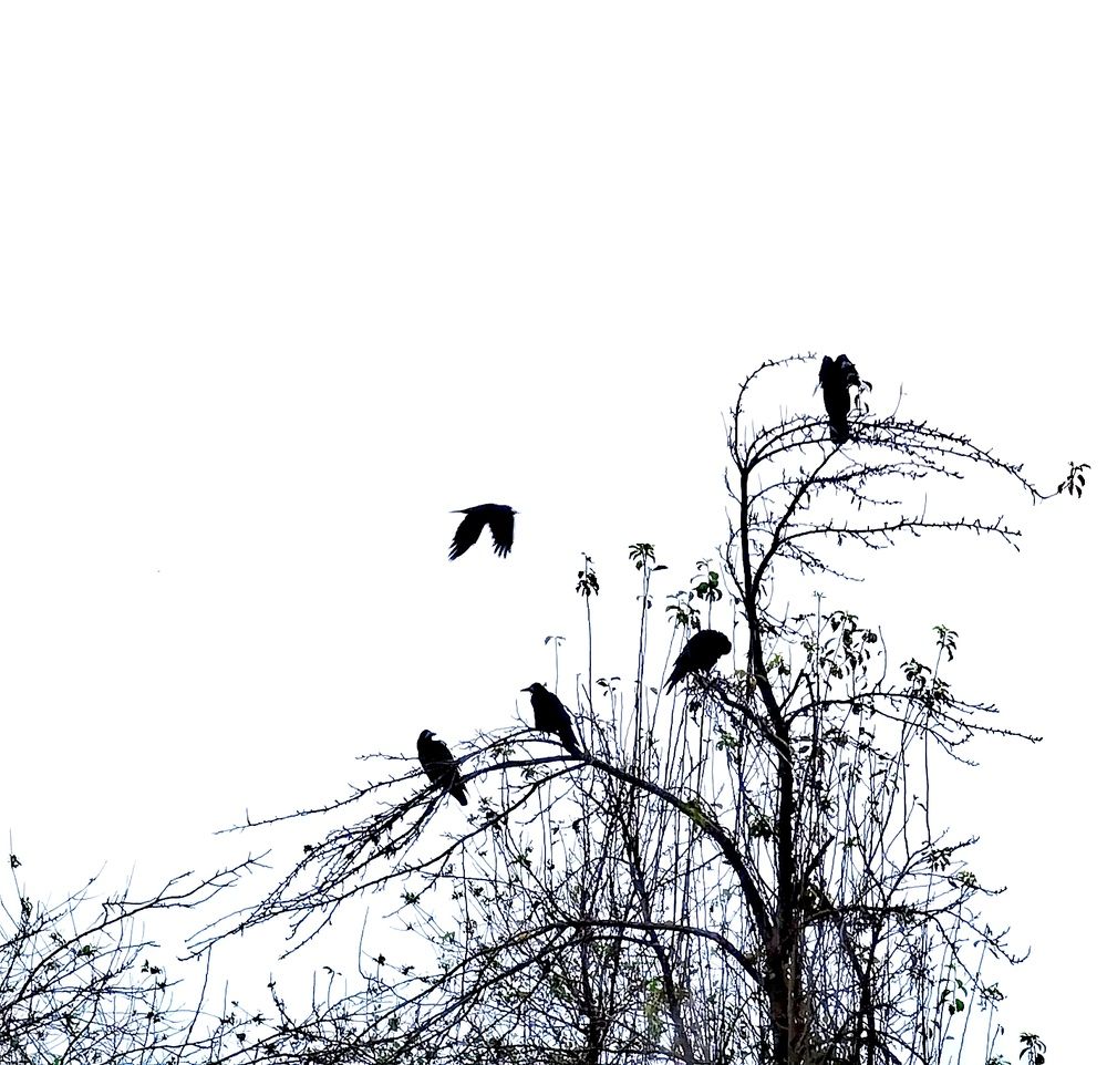 Photograph by Alen Brkić