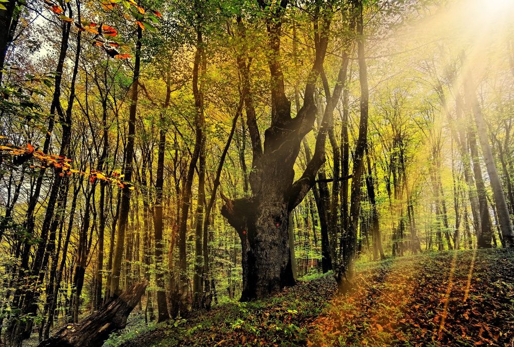 Photograph by Alen Brkić