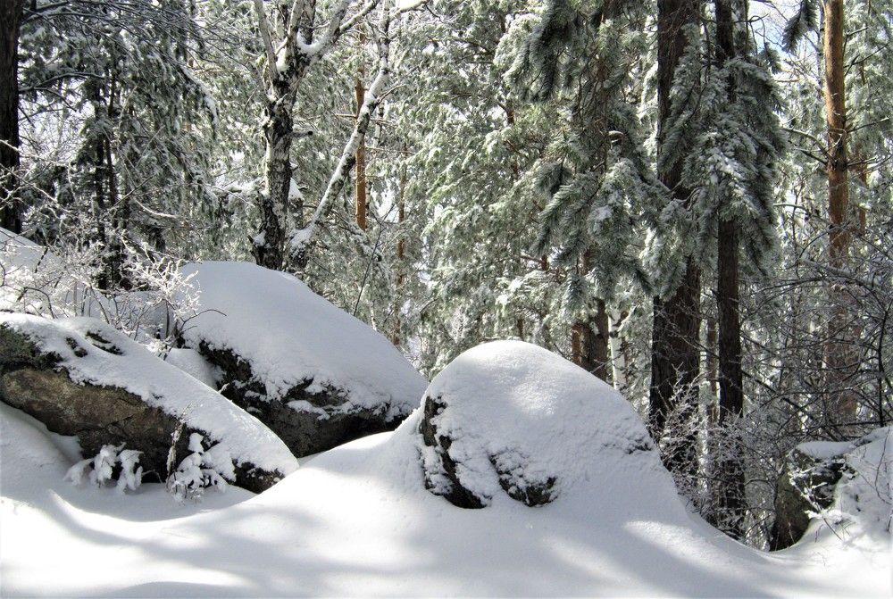 Свежий снег в апреле.