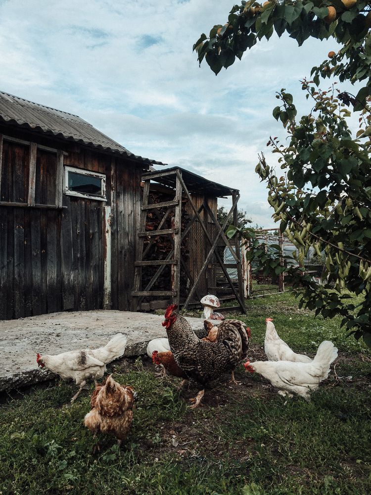 Photograph by Кристина Луканова