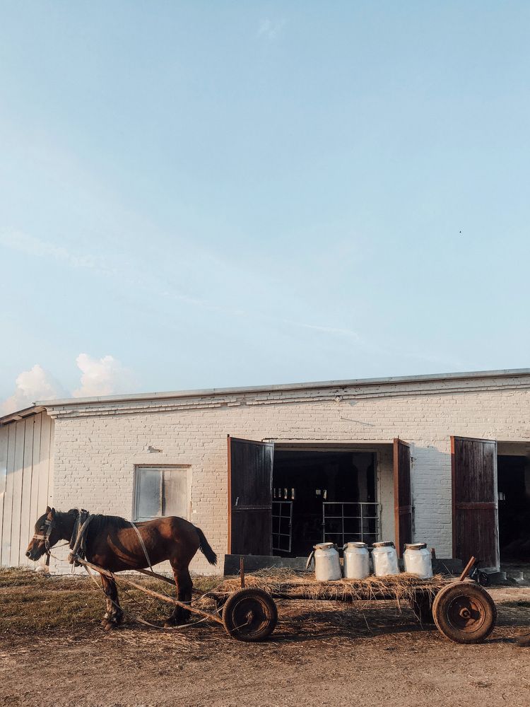 Photograph by Кристина Луканова