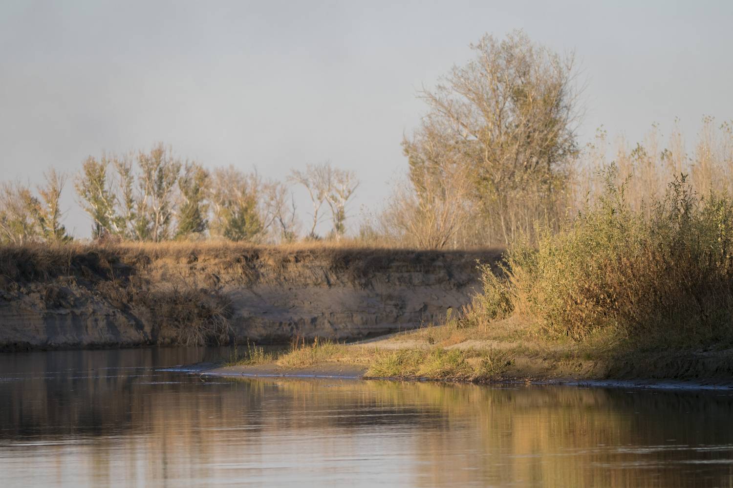 Photo #9574302