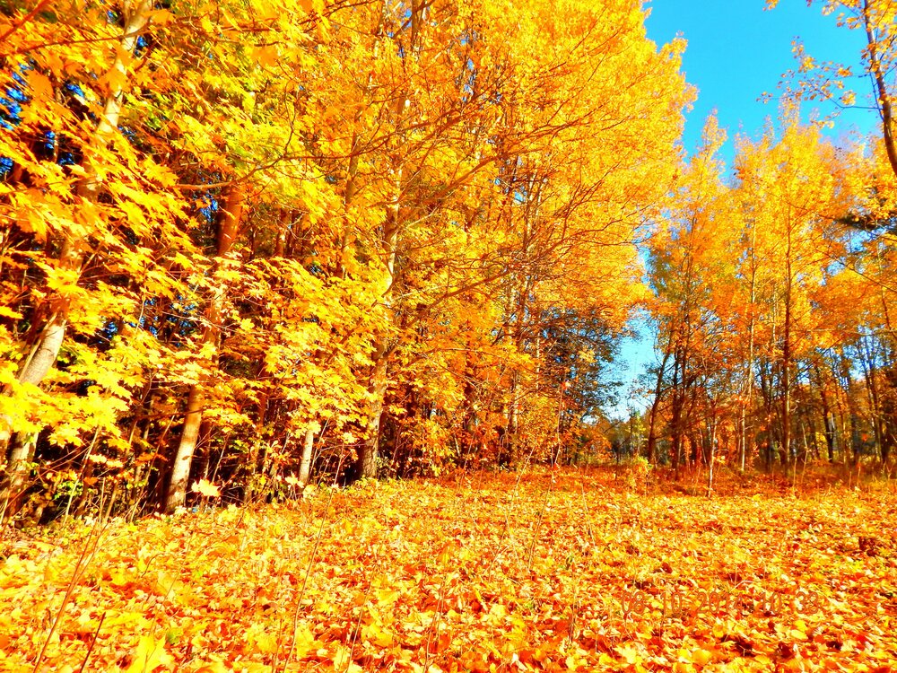 Photograph by Александр Шувалов
