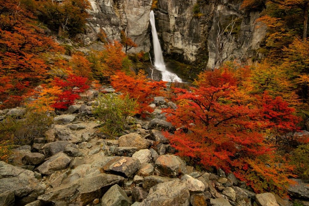 Photograph by jorge arnoten