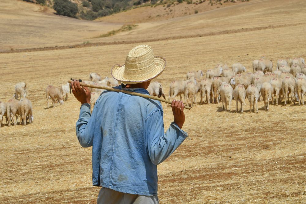 Photograph by Kaouche Mohamed