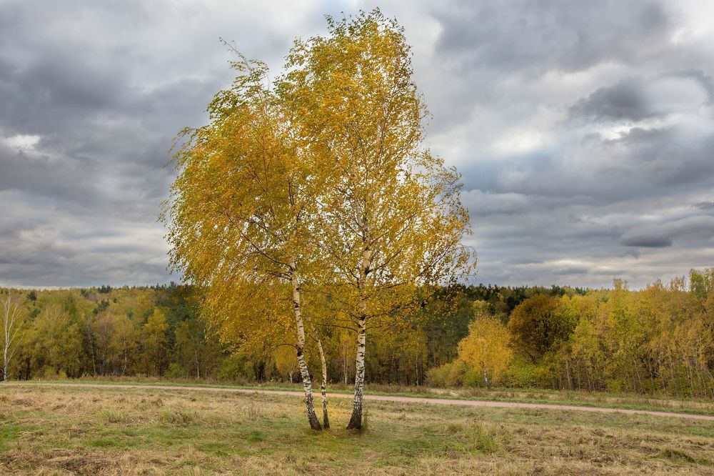 Photograph by Михаил