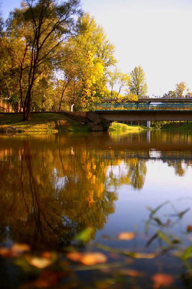 Photograph by Ирина Чалая