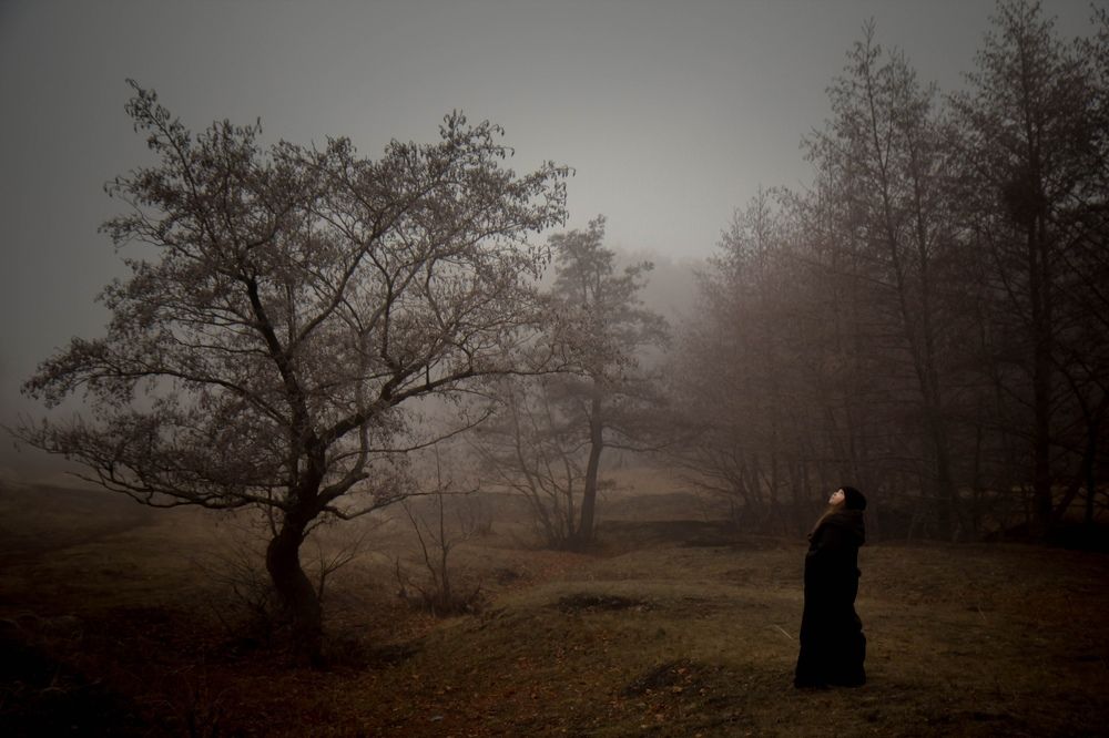 Photograph by Елена