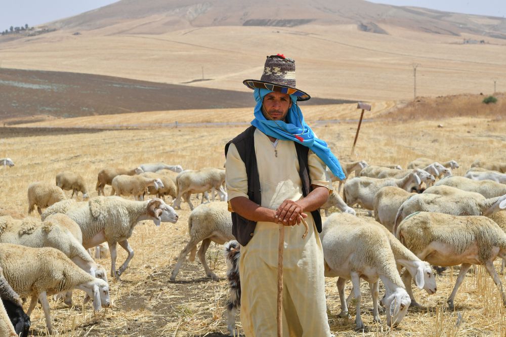 Photograph by Kaouche Mohamed