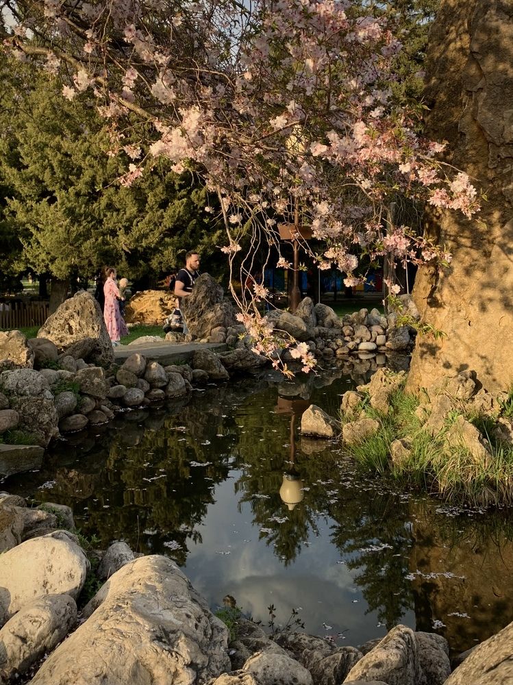 Photograph by Татьяна Семёнова