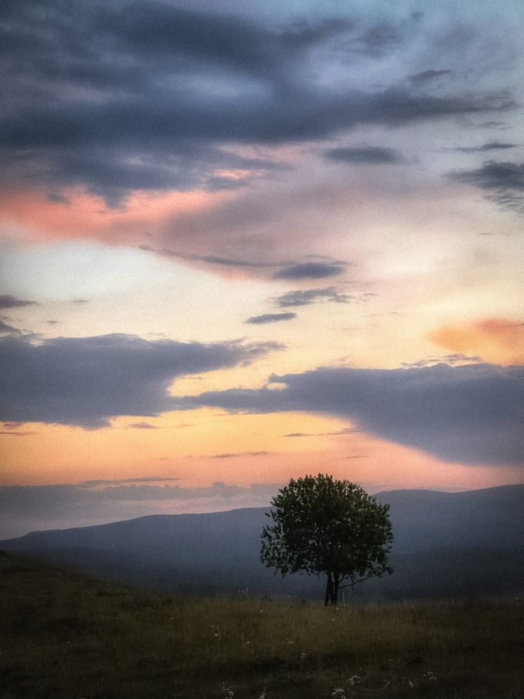 Фотография автора Дарья Кузнецова