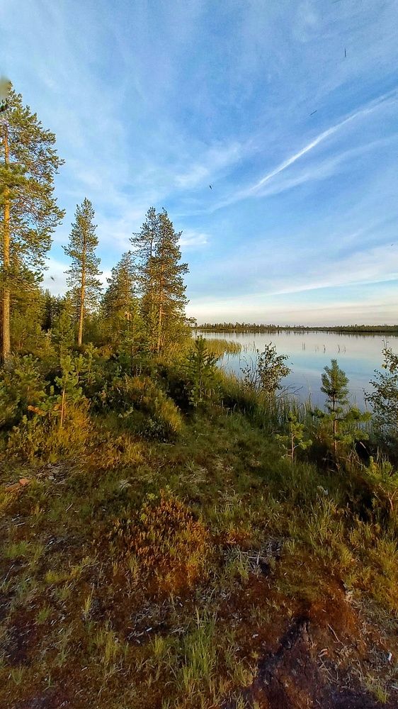 Фотография автора Евгения Зайцева