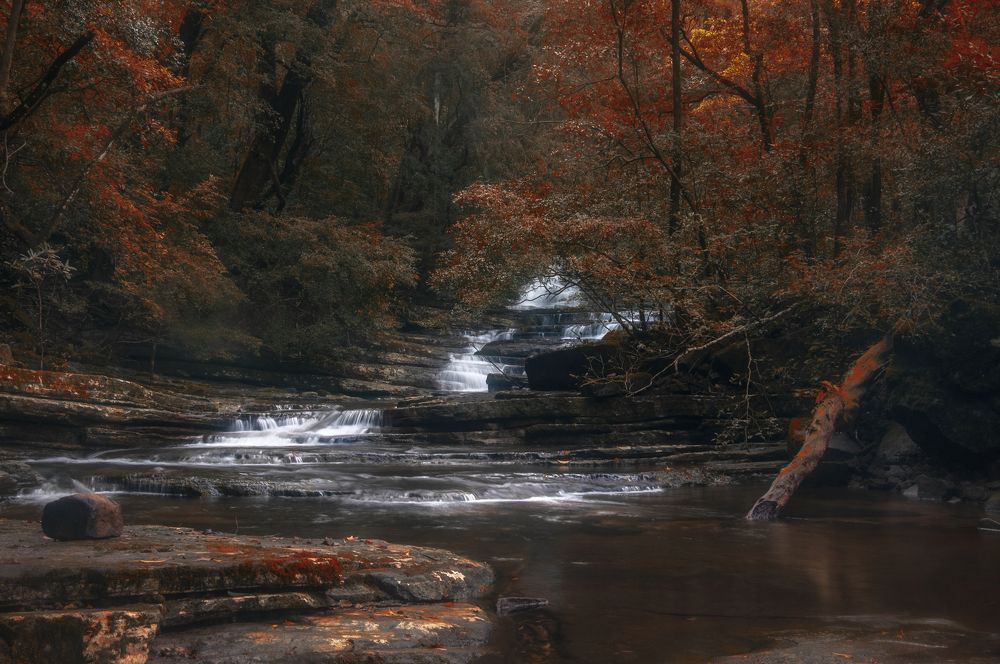 Photograph by Chamara Sulakkhana Polwatta Siriyalage