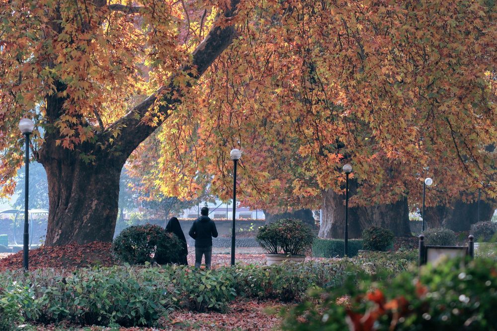 Photograph by Firdous Parray