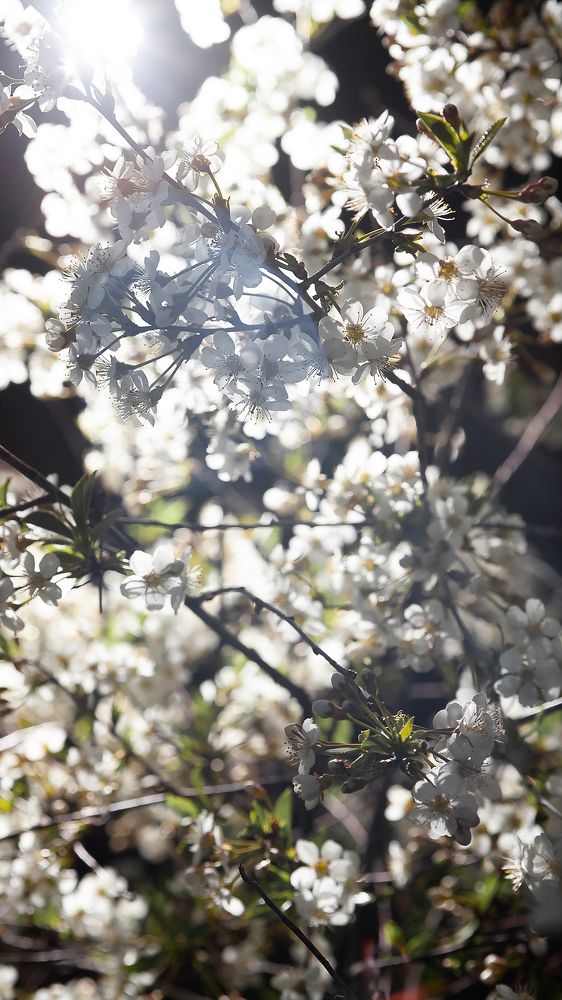 Photograph by Сергей Почевалов