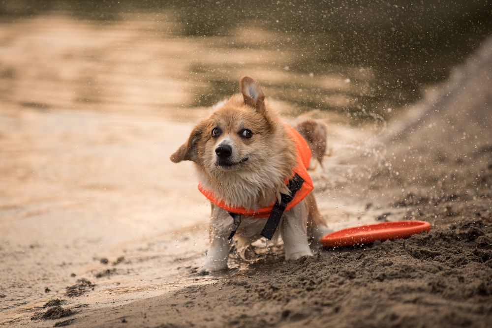 Photograph by Марина Шишкина