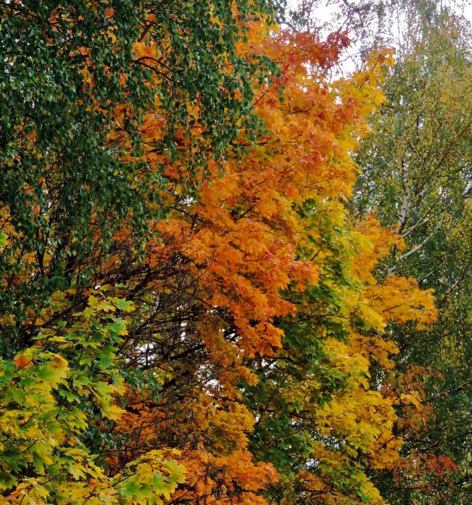 Photograph by Павел Васильев