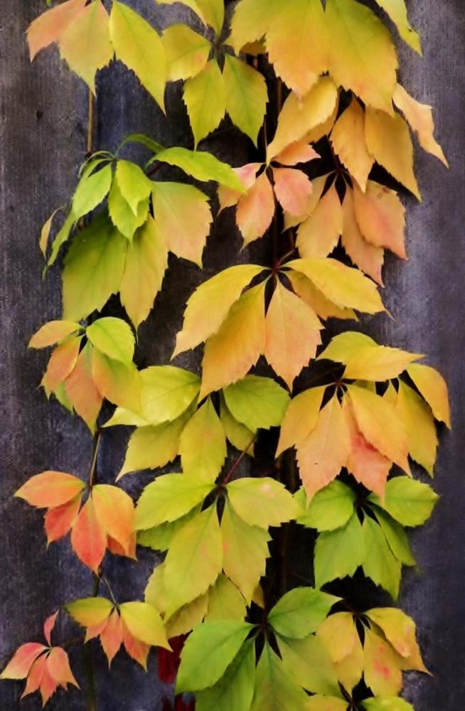 Photograph by Павел Васильев