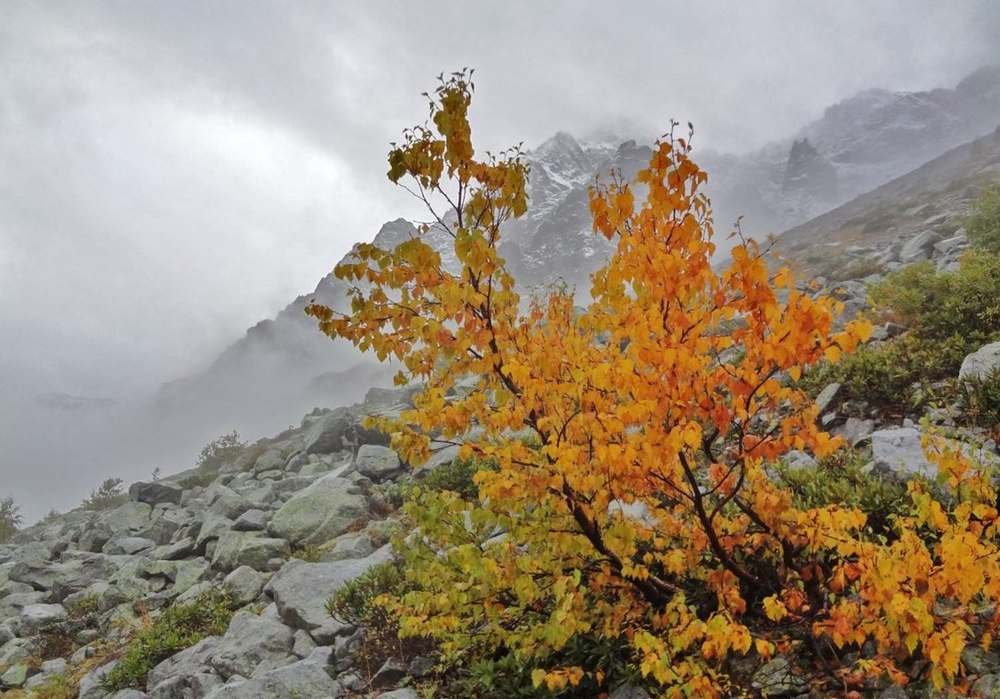 Photograph by Павел Васильев