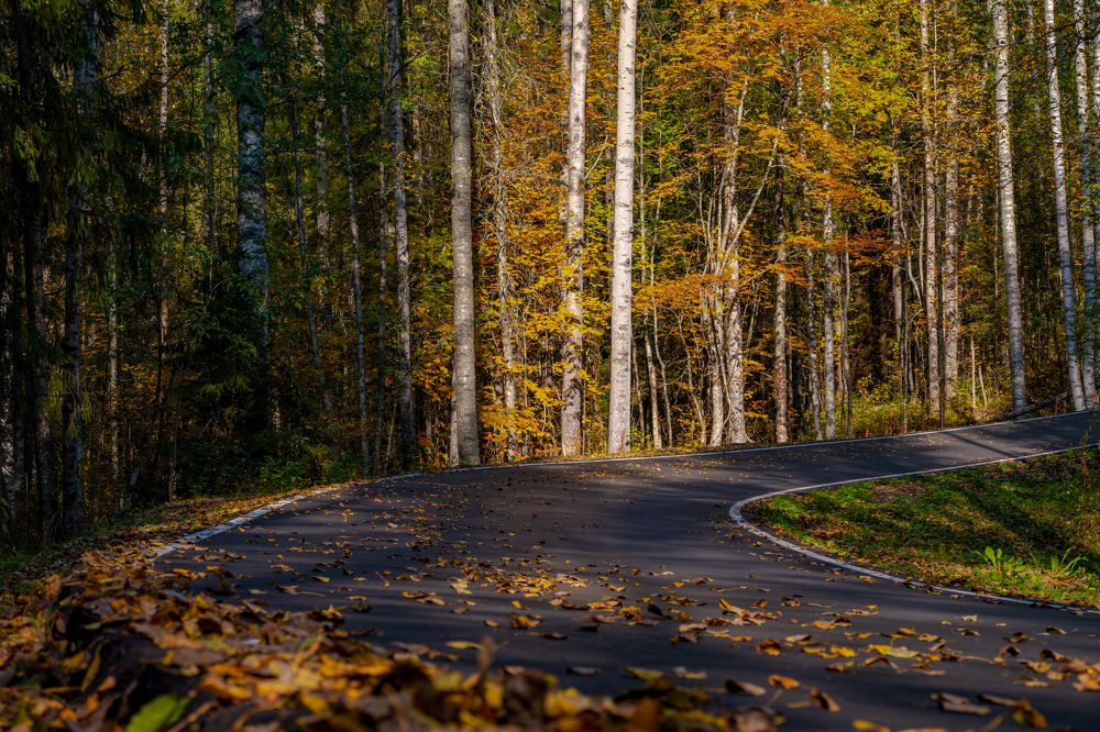 Photograph by Alexandr