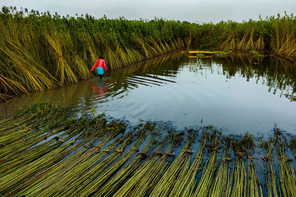 Photograph by Debayan Das