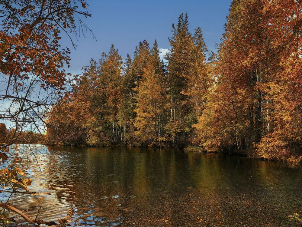 Photograph by Alexandr