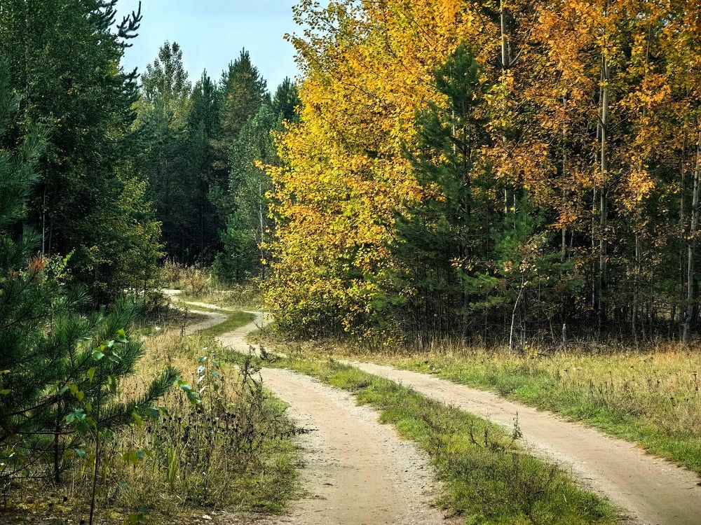 Photograph by Alexandr