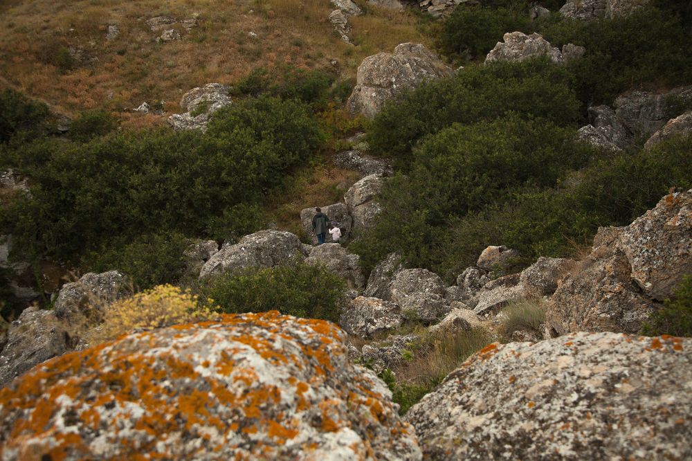 Photograph by Светлана Кавказская