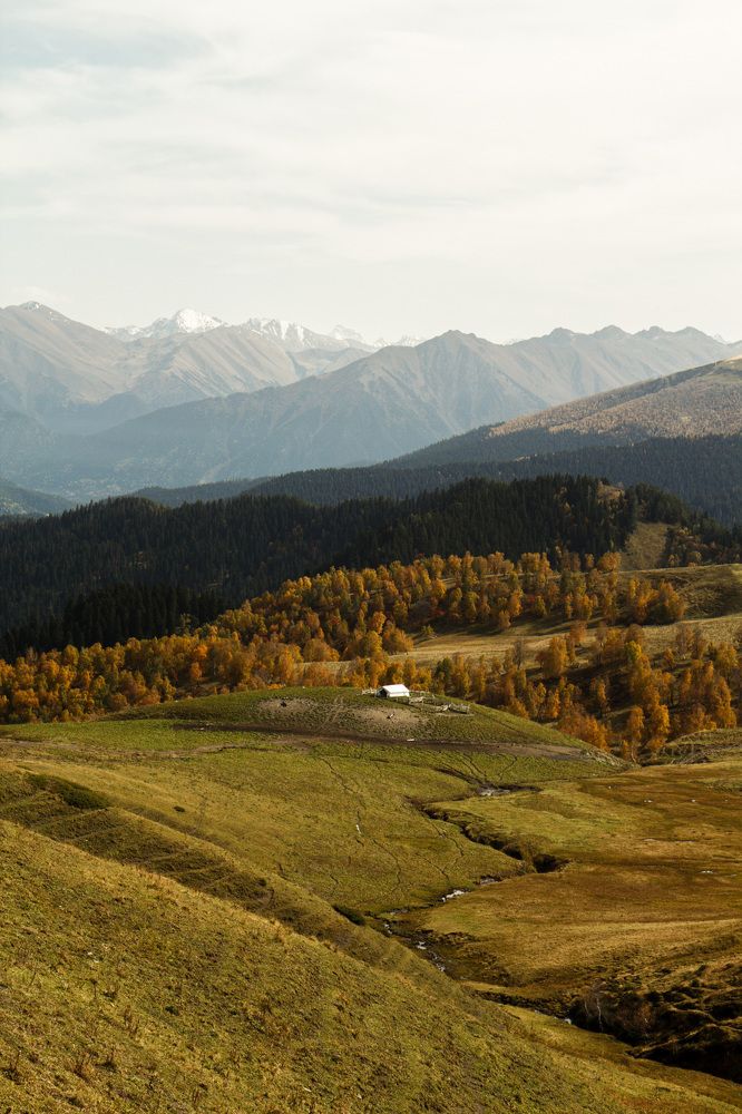 Photograph by Азалия